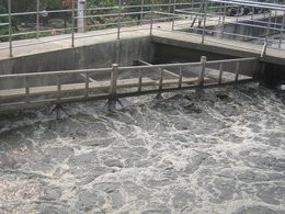 ���͏S�۱�ϩ�������