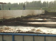 ��ˮ̎��S�۱�ϩ�����(xi��ng)Ŀ